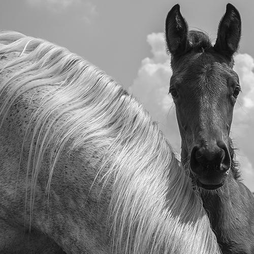 Photo #3641015