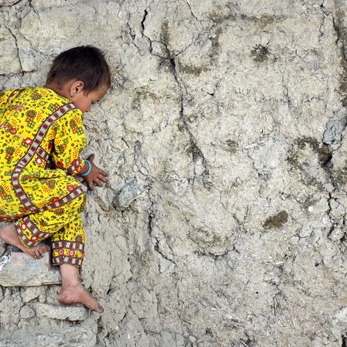 Photo #3641249