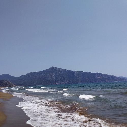 Photo #3641261