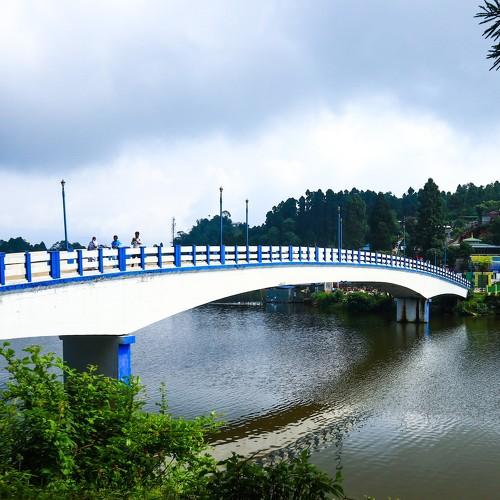 Photo #3641265
