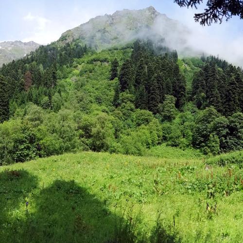 Портрет горы после дождя
