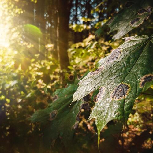 Photo #3641410