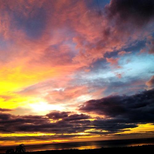 Photo #3641572