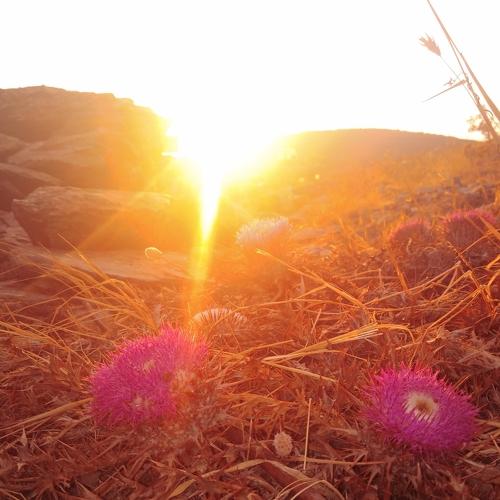 Photo #3642078
