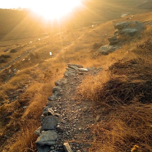 Photo #3642098