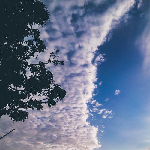 Photo #3642205