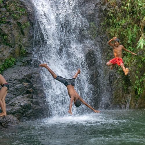 Photo #3642377