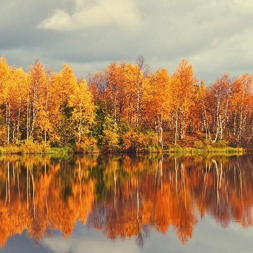 Photo #3642714