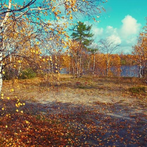 Photo #3642792