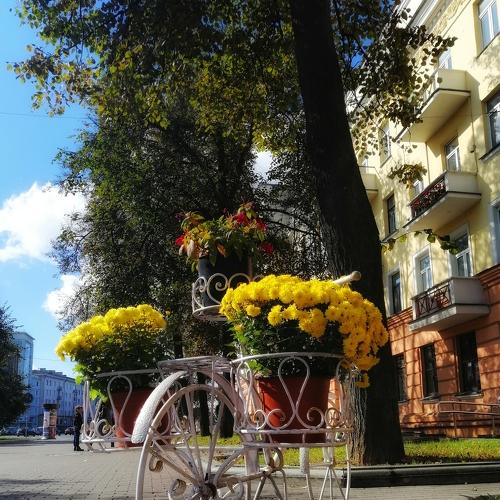 Photo #3643436