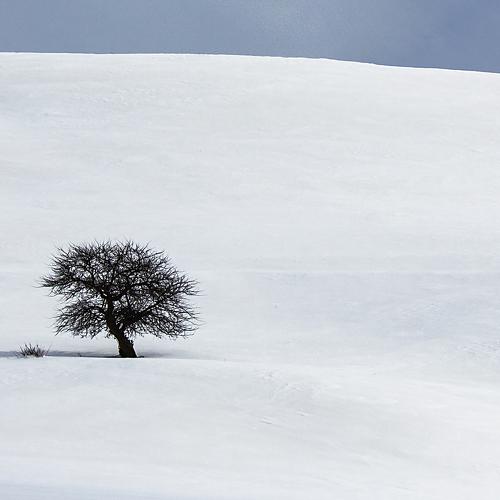 Photo #3643740
