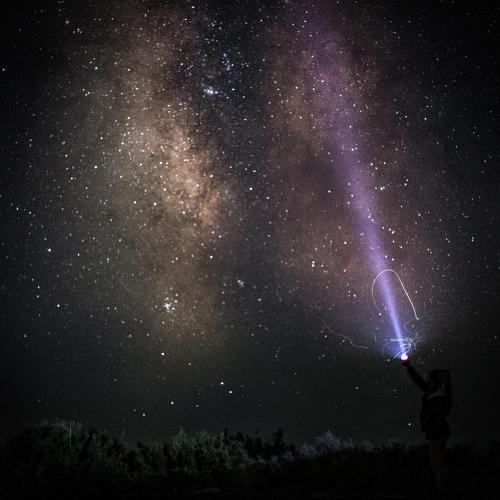 Photo #3643913