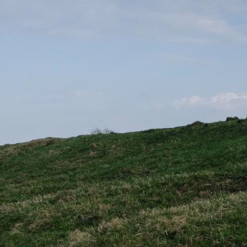 Photo #3644016