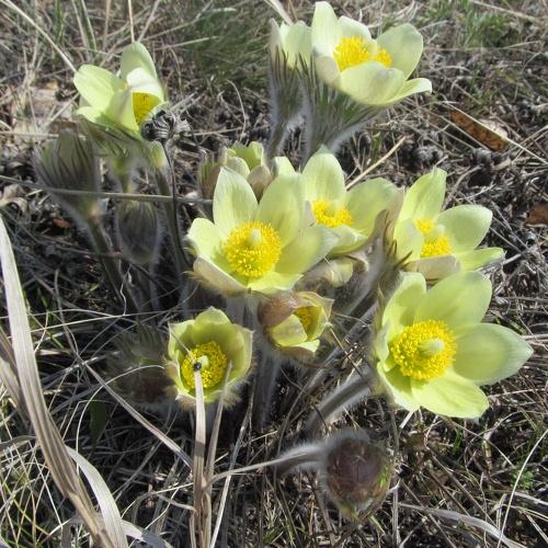 Photo #3644141