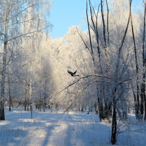 Photo #3644155