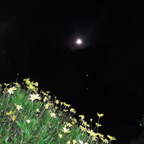 Photo #3644380