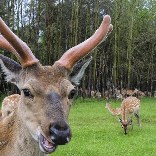 Photo #3644701