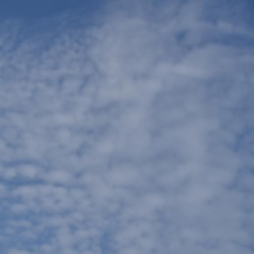 Photo #3644915