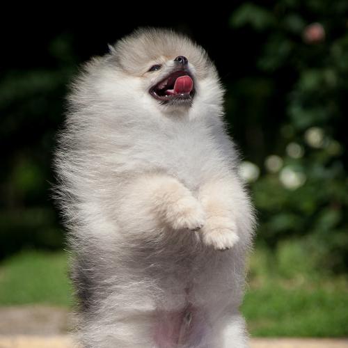 Photo #3645158