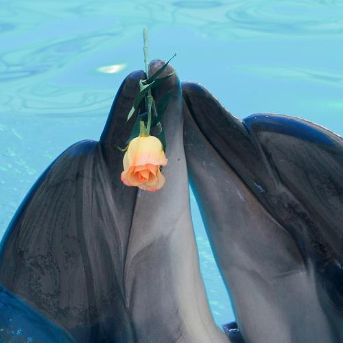 Photo #3645550