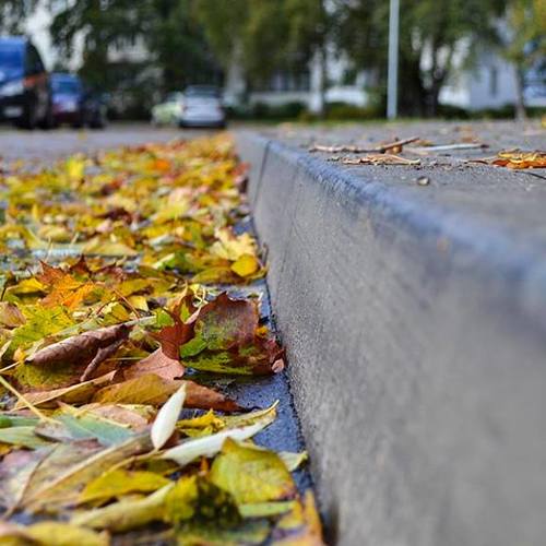 Photo #3645659