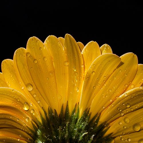 Photo #3645710