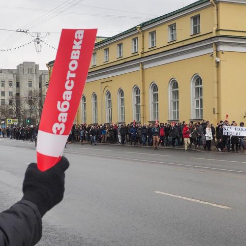 Photo #3645770