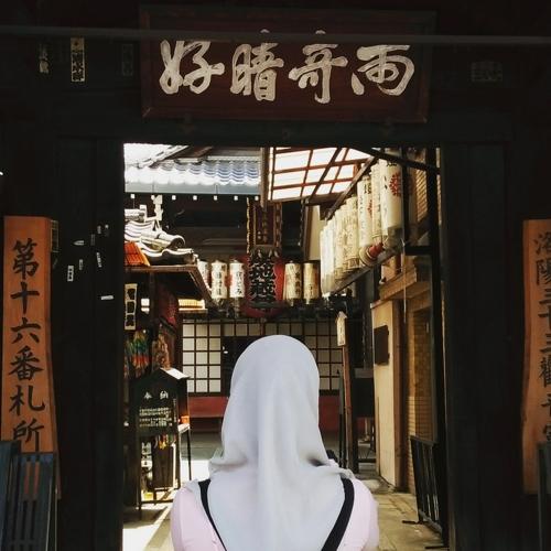Photo #3646000