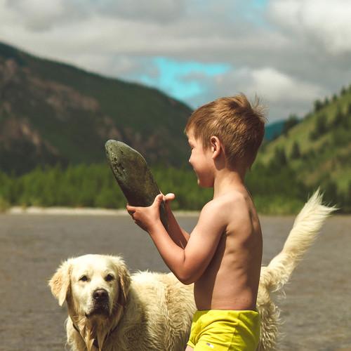 Photo #3646500