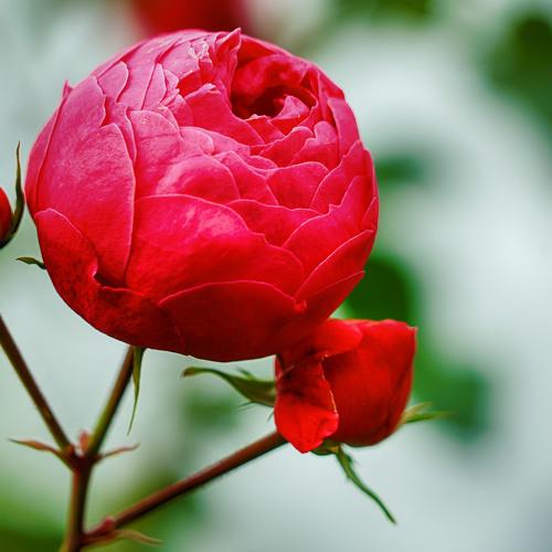 Photo #3647014
