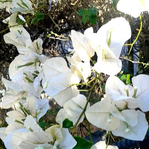 Photo #3647449