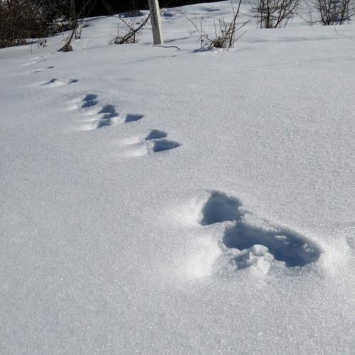 Photo #3647692