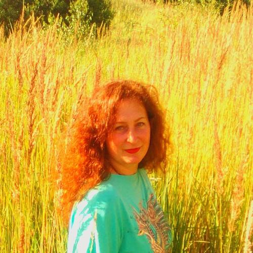Photo #3647769