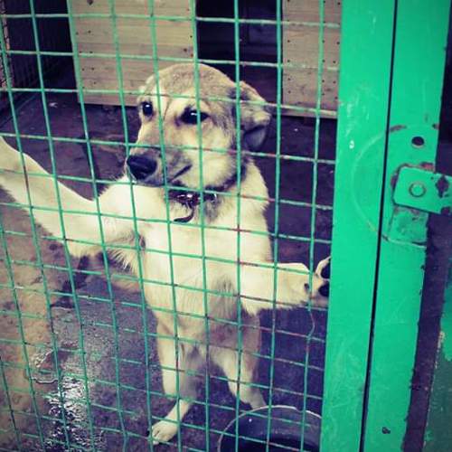 Photo #3648184