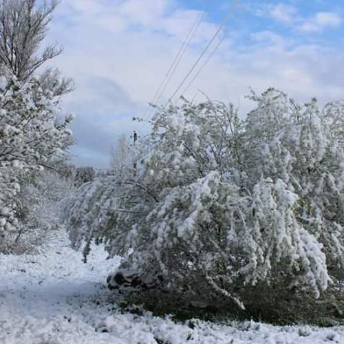 Photo #3648192