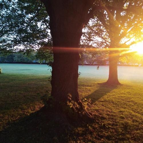 Photo #3648241