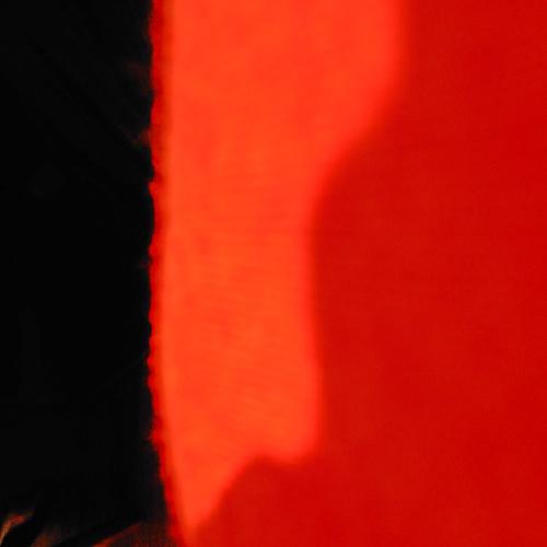 Photo #3648303