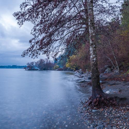 Фотография #3648743