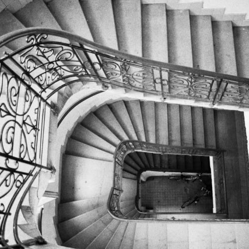 Photo #3648814