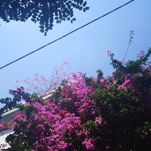 Photo #3648977