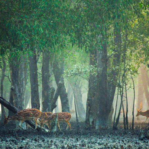 Photo #3649103
