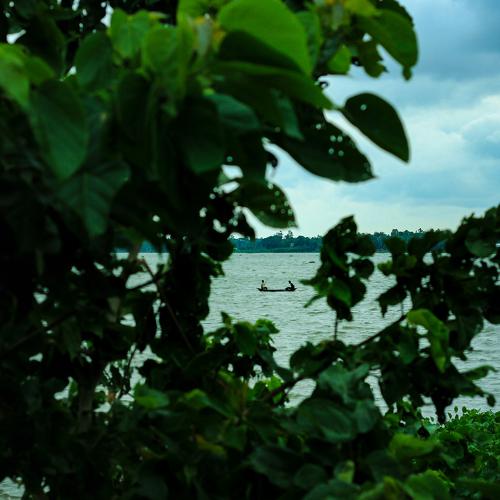 Photo #3649106