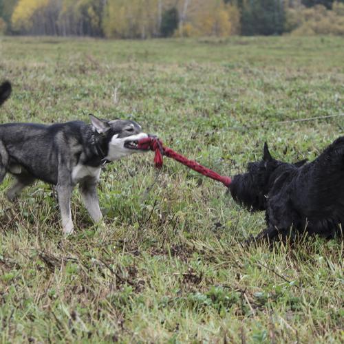 Photo #3649350