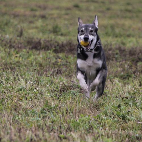 Photo #3649352