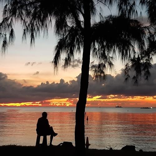 Photo #3649379