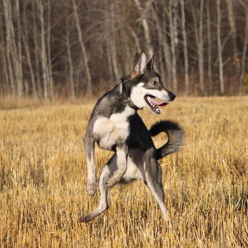 Photo #3649397