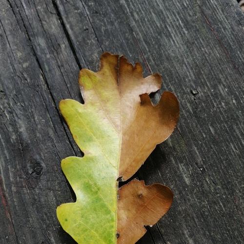 Photo #3649729