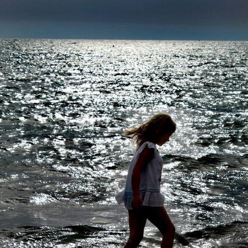 Photo #3649881