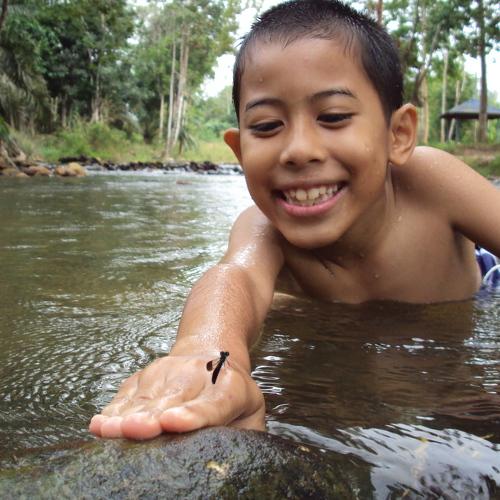 Photo #3649946