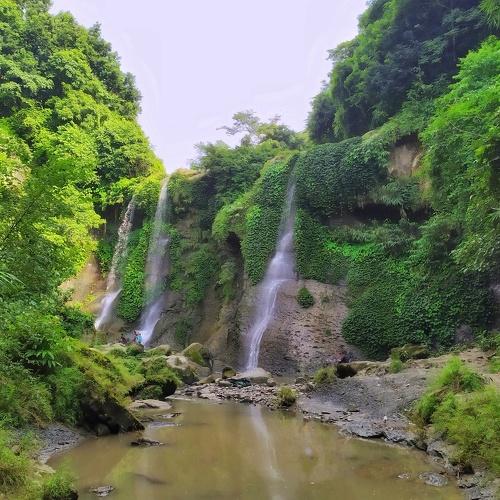 Photo #3650081